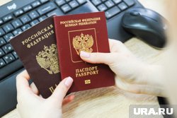 Германия резко увеличила выдачу россиянам шенгенских виз в 2025 году