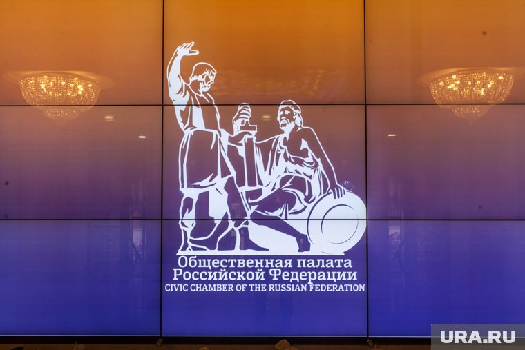 Предложенный певицей закон обсудят в Общественной палате РФ