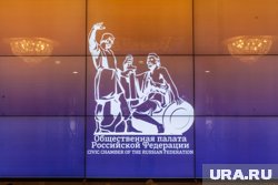 Предложенный певицей закон обсудят в Общественной палате РФ