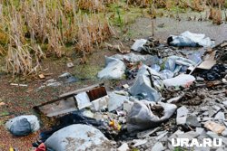 Организаторам незаконной свалки может грозит два года лишения свободы