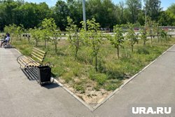 В Новом Уренгое облагородят территорию вокруг больницы