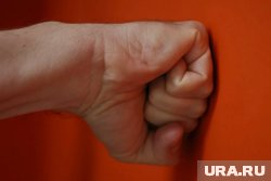 Житель Далматово устроил драку с сотрудниками полиции