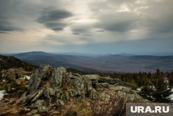 Гриб с Таганая может плодоносить до первого снега 
