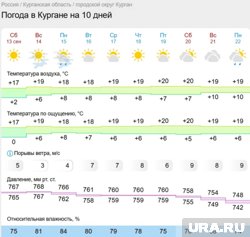 Курганцев ожидает теплая и солнечная декада