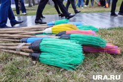 Шадринские подростки устроят уборку в городе