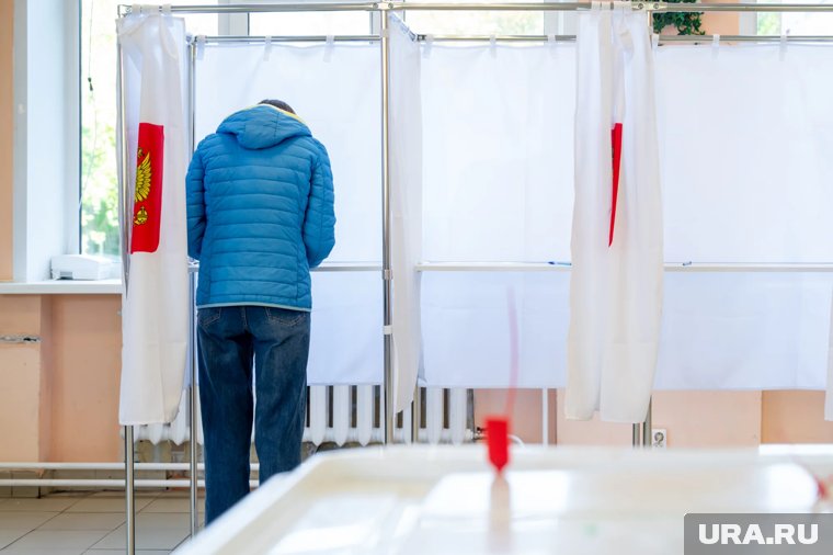Явка по досрочному голосованию составила 4,99%