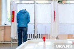 Явка по досрочному голосованию составила 4,99%