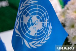 Россия ждет от ООН доказательств