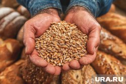 Роскачество проверит безглютеновые продукты