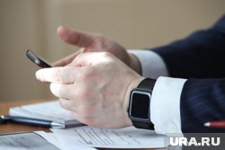 Отсутствие ОБСЕ на последних выборах президента РФ не повлияло на качество международного наблюдения