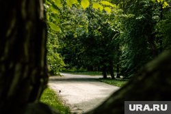 Мэр Пинаев остался недоволен уборкой в Парке победы (архивное фото)