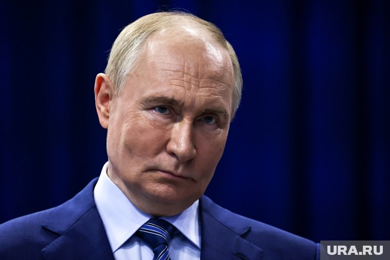 Президент Владимир Путин оценил проект Минюста об адвокатах в судах