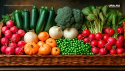 Некоторые культуры не требуют особых знаний