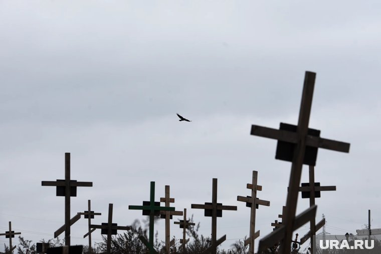 Россияне умирают из-за болезней сердца и сосудов и других
