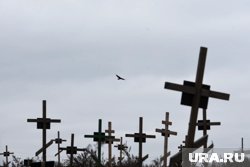 Россияне умирают из-за болезней сердца и сосудов и других