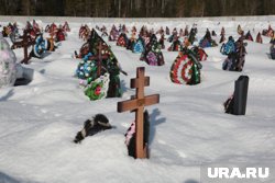 Преступление было совершено в марте на Северном кладбище в Перми