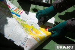 «Майская прогулка» пройдет 18 мая