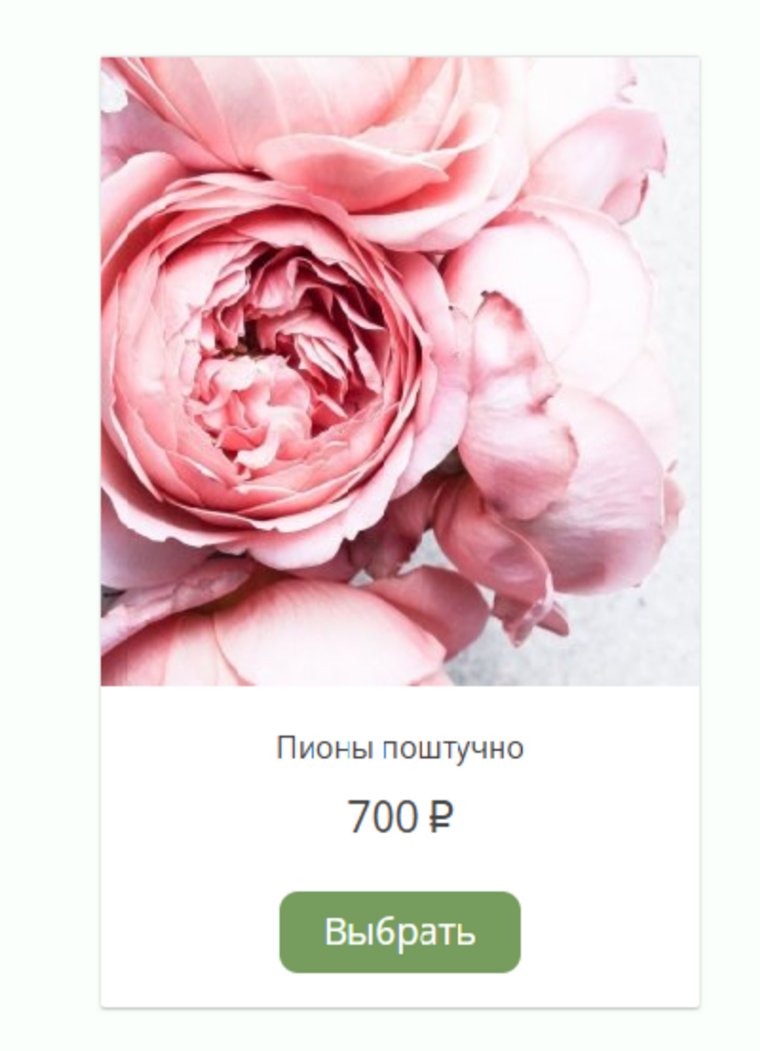 Такая стоимость на пионы доходит в местных цветочных салонах