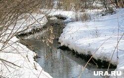 Маршрут проходит от улицы Веселой до бульвара Гагарина