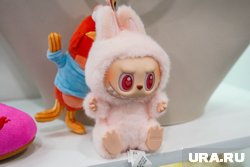 Обвал запросов на Лабубу: курганцы уже не гонятся за игрушкой