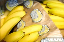 Бананы в России подешевели на 25% за год