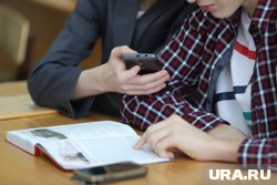 Курганцы интересуются новым национальным мессенджером 