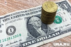 Румынские пограничники остановили украинцев с 1,4 миллиона долларов
