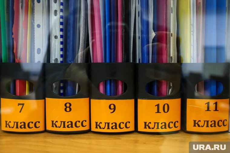 Предмет «Обществознание» не будут изучать в 6-7 классах