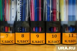 Предмет «Обществознание» не будут изучать в 6-7 классах