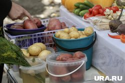 Неделю назад килограмм картофеля в среднем стоил 82,68 рубля
