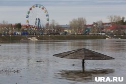 К 5 мая поступило 1 071 заявление на получение выплаты