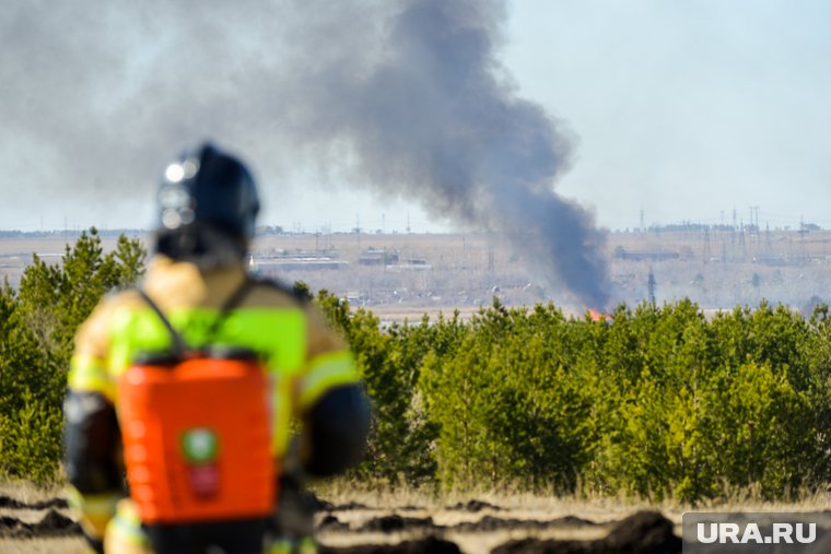 В ЯНАО 30 июля горит 11 гектаров леса