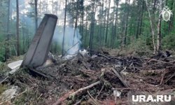 Фрагменты самолета Ан-24 оказались разбросаны на участке размером с один гектар
