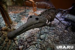Все самое интересное из музеев в один вечер
