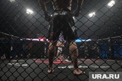 Боксер RCC Boxing Promotions Заур Абдуллаев проиграл бой за титул чемпиона по боксу в легком весе