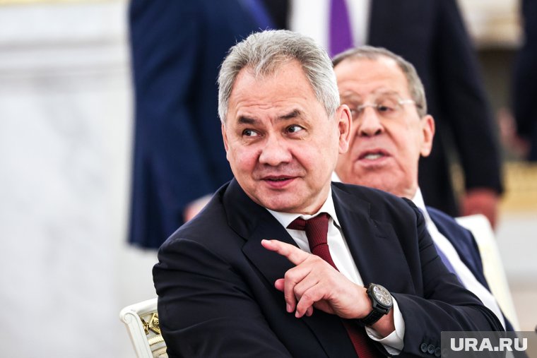Шойгу подчеркнул, что европейские страны могут пойти на различные ухищрения