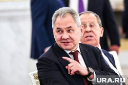 Шойгу подчеркнул, что европейские страны могут пойти на различные ухищрения