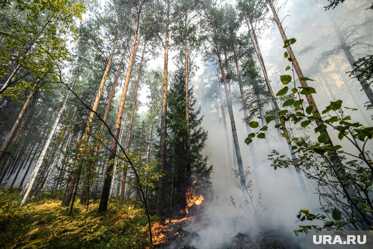Пожары в Забайкалье охватили более 325 тысяч гектаров (архивное фото)