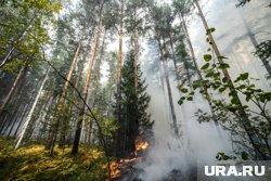 Пожары в Забайкалье охватили более 325 тысяч гектаров (архивное фото)