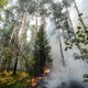 Амурская область и Забайкалье в огне: в регионах сложилась чрезвычайная ситуация с пожарами