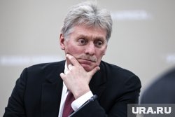 Песков заявил, что встреча Путина с президентом ЦАР будет посвящена вопросам безопасности