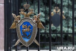 В СКР завели дело