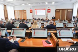 Мособлдума объяснила, что нужно для получения земельного участка многодетным семьям
