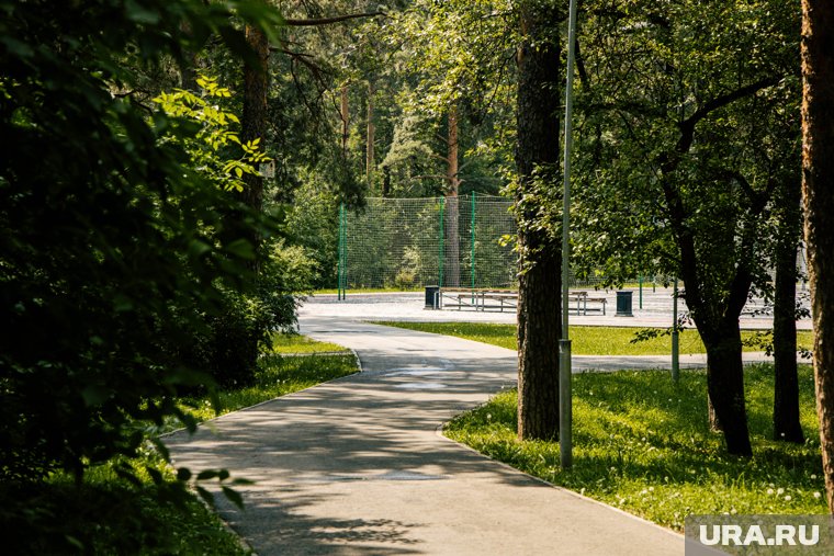 Благодаря нацпрограмме, была благоустроена Зеленая роща