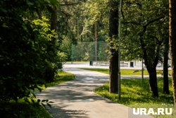 Благодаря нацпрограмме, была благоустроена Зеленая роща