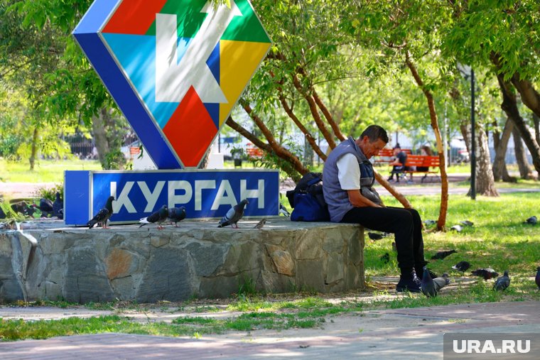 Курганцев чаще всего губят болезни системы кровообращения и рак