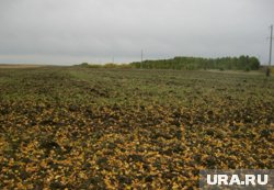 В Нагайбакском округе фермер начал обрабатывать землю после предписания 