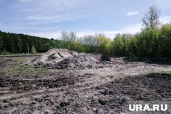Земли переданы в муниципальную собственность 