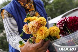 Пенсионеры выращивают все на своих участках