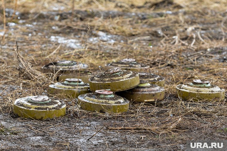В Курской области рыбак получил осколочные ранения после детонации неразорвавшегося боеприпаса